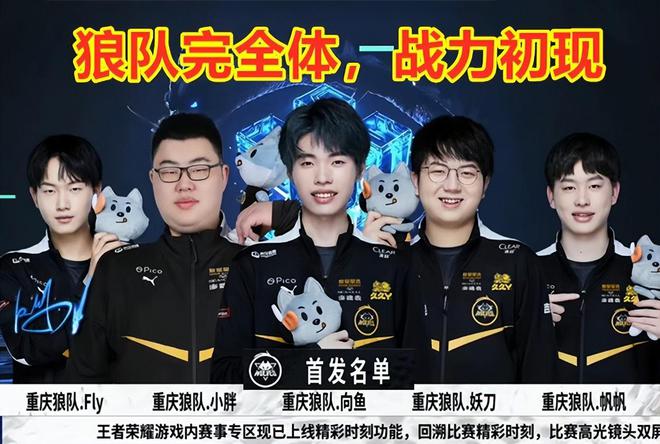 的安保只会