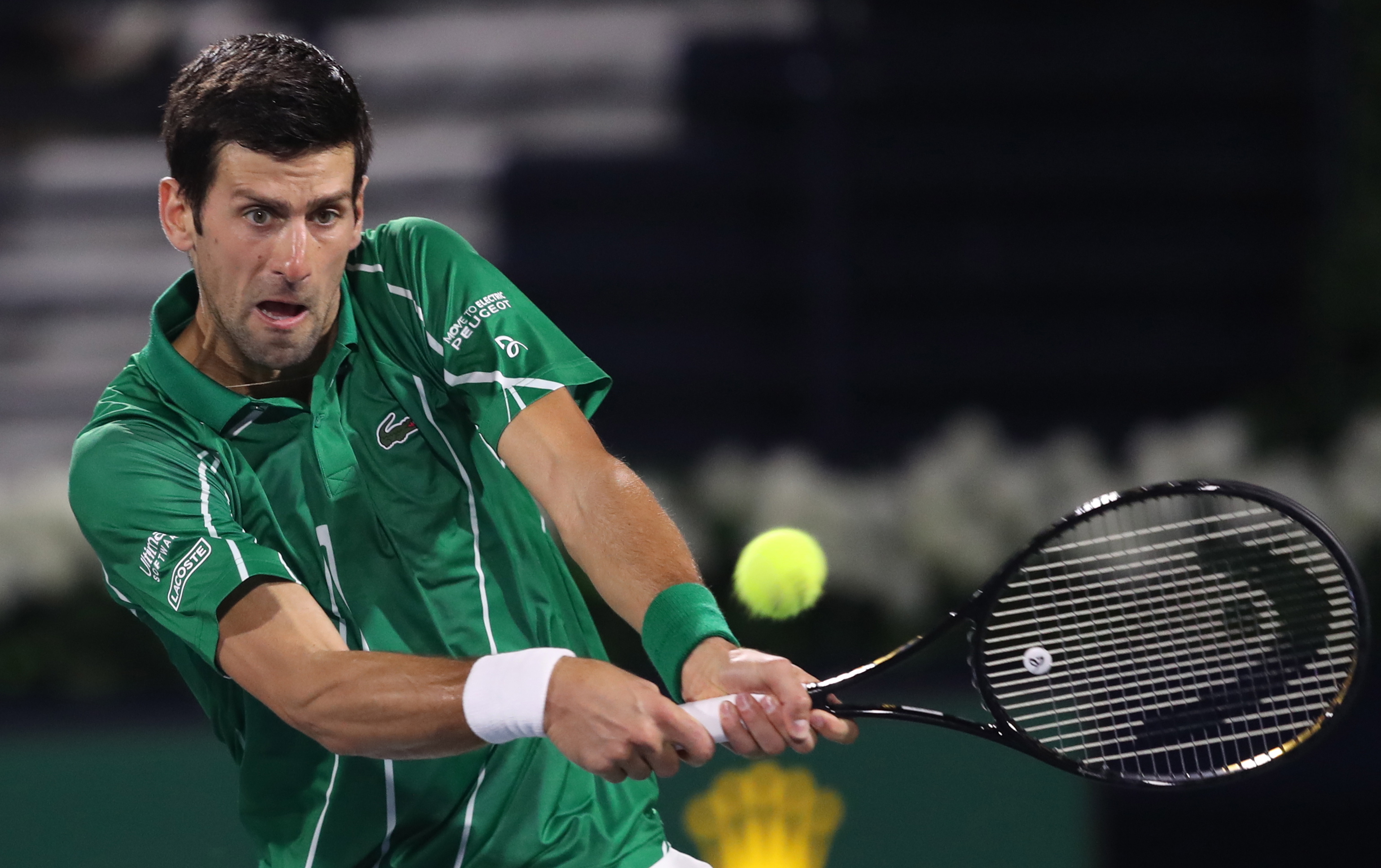 献综合决定 献综合决定